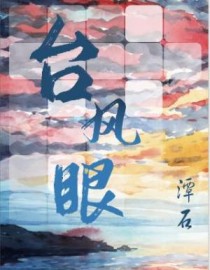 台风眼小说免费阅读全文